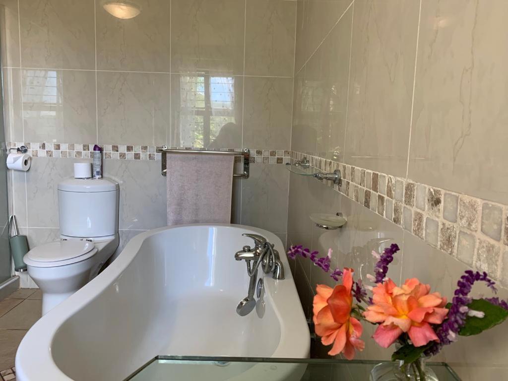 Mountain Rose Guesthouse Louis Trichardt Exterior foto